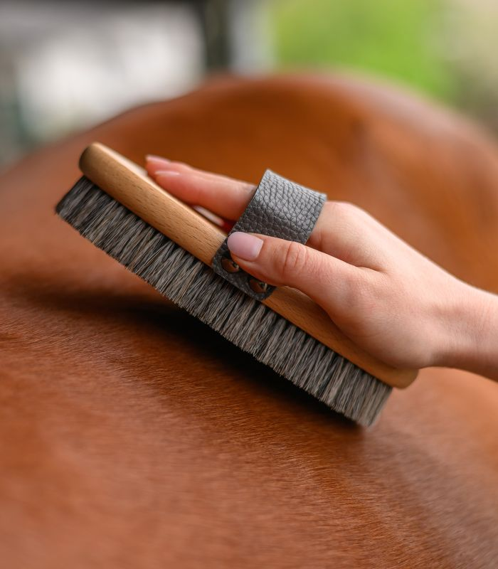 Brosse douce Exclusive Line grande Waldhausen