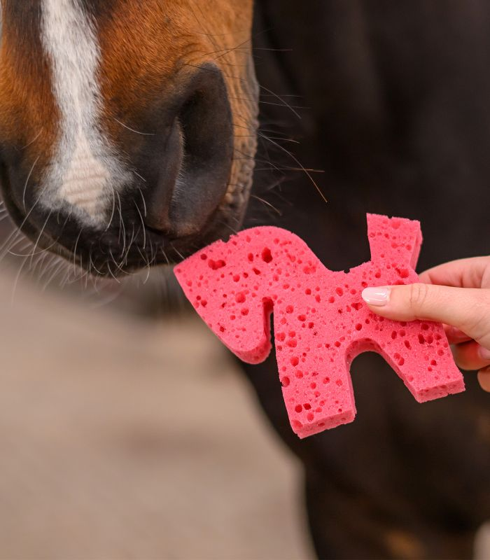 Éponge en forme de cheval Waldhausen