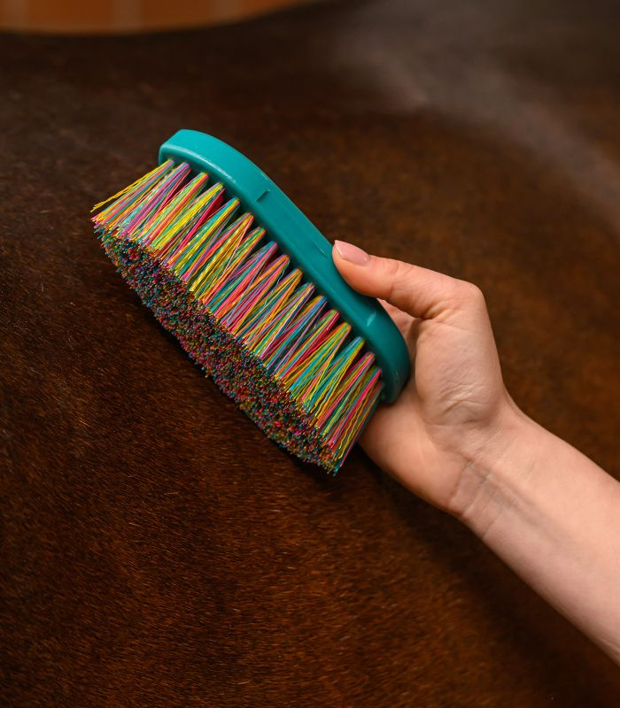 Brosse à racines Rainbow Waldhausen