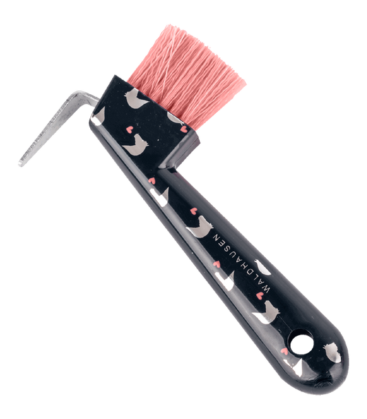 Cure-pied Lucky Waldhausen